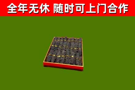 道孚回收海参
